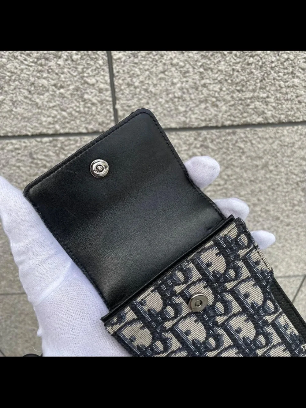 Dior signature oblique